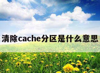 清除cache分区是什么意思